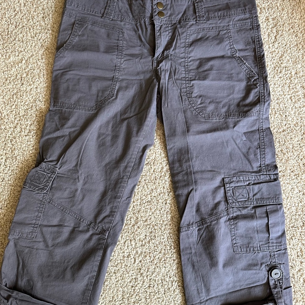 Sanctuary Capri pants